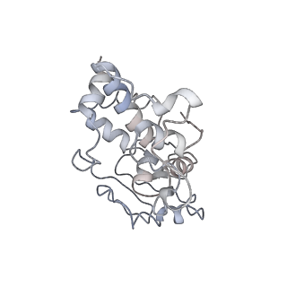 10907_6yst_d_v1-1
Structure of the P+9 ArfB-ribosome complex with P/E hybrid tRNA in the post-hydrolysis state