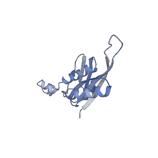 10907_6yst_e_v1-1
Structure of the P+9 ArfB-ribosome complex with P/E hybrid tRNA in the post-hydrolysis state