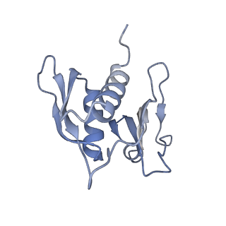 10907_6yst_h_v1-1
Structure of the P+9 ArfB-ribosome complex with P/E hybrid tRNA in the post-hydrolysis state