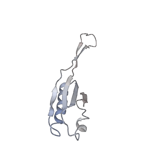 10907_6yst_j_v1-1
Structure of the P+9 ArfB-ribosome complex with P/E hybrid tRNA in the post-hydrolysis state