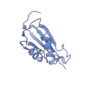 10907_6yst_k_v1-1
Structure of the P+9 ArfB-ribosome complex with P/E hybrid tRNA in the post-hydrolysis state
