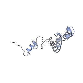10907_6yst_n_v1-1
Structure of the P+9 ArfB-ribosome complex with P/E hybrid tRNA in the post-hydrolysis state