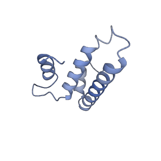 10907_6yst_o_v1-1
Structure of the P+9 ArfB-ribosome complex with P/E hybrid tRNA in the post-hydrolysis state