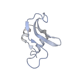 10907_6yst_p_v1-1
Structure of the P+9 ArfB-ribosome complex with P/E hybrid tRNA in the post-hydrolysis state