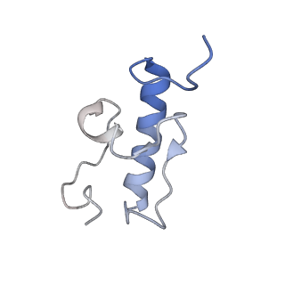 10907_6yst_r_v1-1
Structure of the P+9 ArfB-ribosome complex with P/E hybrid tRNA in the post-hydrolysis state