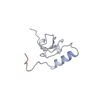 10907_6yst_s_v1-1
Structure of the P+9 ArfB-ribosome complex with P/E hybrid tRNA in the post-hydrolysis state