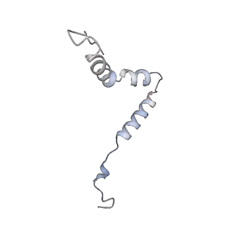 10907_6yst_u_v1-1
Structure of the P+9 ArfB-ribosome complex with P/E hybrid tRNA in the post-hydrolysis state