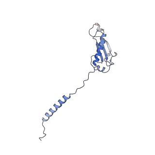 10907_6yst_y_v1-1
Structure of the P+9 ArfB-ribosome complex with P/E hybrid tRNA in the post-hydrolysis state