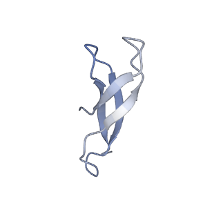 10908_6ysu_1_v1-1
Structure of the P+0 ArfB-ribosome complex in the post-hydrolysis state