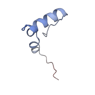 10908_6ysu_2_v1-1
Structure of the P+0 ArfB-ribosome complex in the post-hydrolysis state