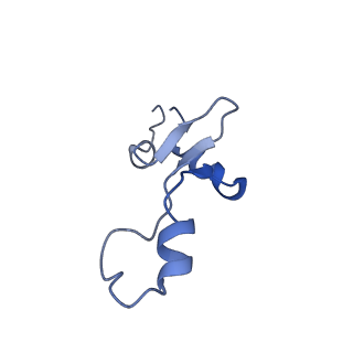 10908_6ysu_3_v1-1
Structure of the P+0 ArfB-ribosome complex in the post-hydrolysis state