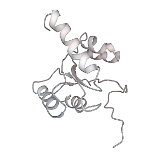 10908_6ysu_5_v1-1
Structure of the P+0 ArfB-ribosome complex in the post-hydrolysis state