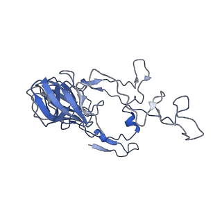 10908_6ysu_C_v1-1
Structure of the P+0 ArfB-ribosome complex in the post-hydrolysis state