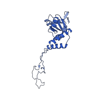 10908_6ysu_E_v1-1
Structure of the P+0 ArfB-ribosome complex in the post-hydrolysis state