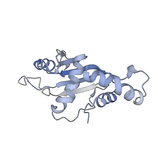 10908_6ysu_F_v1-1
Structure of the P+0 ArfB-ribosome complex in the post-hydrolysis state