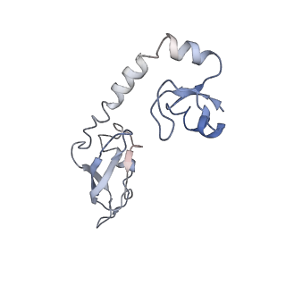 10908_6ysu_H_v1-1
Structure of the P+0 ArfB-ribosome complex in the post-hydrolysis state