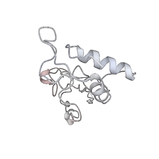 10908_6ysu_I_v1-1
Structure of the P+0 ArfB-ribosome complex in the post-hydrolysis state