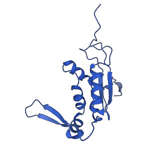 10908_6ysu_J_v1-1
Structure of the P+0 ArfB-ribosome complex in the post-hydrolysis state