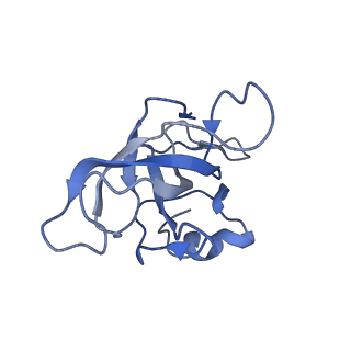 10908_6ysu_K_v1-1
Structure of the P+0 ArfB-ribosome complex in the post-hydrolysis state