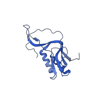 10908_6ysu_M_v1-1
Structure of the P+0 ArfB-ribosome complex in the post-hydrolysis state