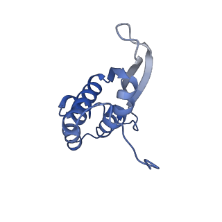 10908_6ysu_N_v1-1
Structure of the P+0 ArfB-ribosome complex in the post-hydrolysis state