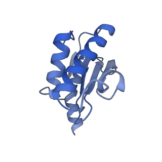 10908_6ysu_O_v1-1
Structure of the P+0 ArfB-ribosome complex in the post-hydrolysis state