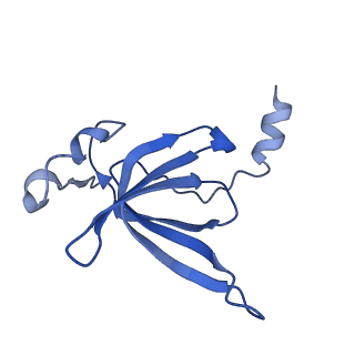 10908_6ysu_P_v1-1
Structure of the P+0 ArfB-ribosome complex in the post-hydrolysis state
