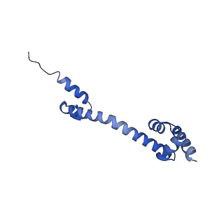 10908_6ysu_Q_v1-1
Structure of the P+0 ArfB-ribosome complex in the post-hydrolysis state