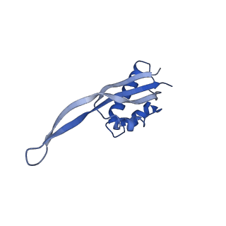 10908_6ysu_S_v1-1
Structure of the P+0 ArfB-ribosome complex in the post-hydrolysis state
