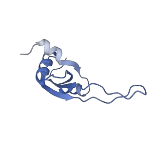 10908_6ysu_T_v1-1
Structure of the P+0 ArfB-ribosome complex in the post-hydrolysis state