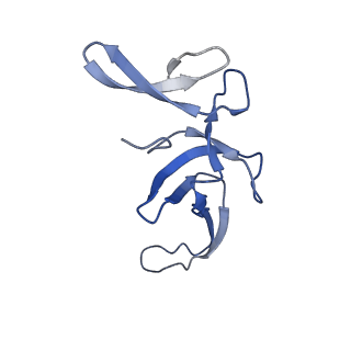 10908_6ysu_U_v1-1
Structure of the P+0 ArfB-ribosome complex in the post-hydrolysis state