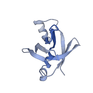 10908_6ysu_V_v1-1
Structure of the P+0 ArfB-ribosome complex in the post-hydrolysis state
