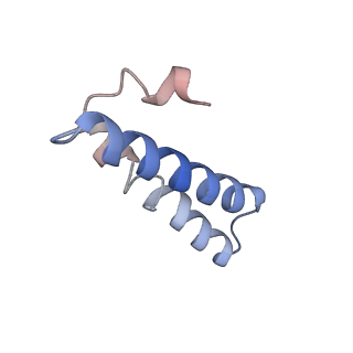 10908_6ysu_Y_v1-1
Structure of the P+0 ArfB-ribosome complex in the post-hydrolysis state