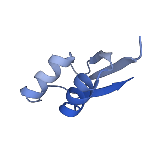 10908_6ysu_Z_v1-1
Structure of the P+0 ArfB-ribosome complex in the post-hydrolysis state
