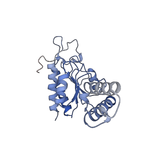 10908_6ysu_b_v1-1
Structure of the P+0 ArfB-ribosome complex in the post-hydrolysis state