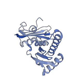 10908_6ysu_c_v1-1
Structure of the P+0 ArfB-ribosome complex in the post-hydrolysis state