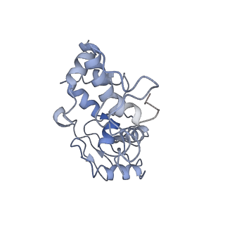 10908_6ysu_d_v1-1
Structure of the P+0 ArfB-ribosome complex in the post-hydrolysis state