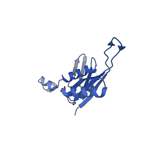 10908_6ysu_e_v1-1
Structure of the P+0 ArfB-ribosome complex in the post-hydrolysis state