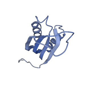 10908_6ysu_f_v1-1
Structure of the P+0 ArfB-ribosome complex in the post-hydrolysis state