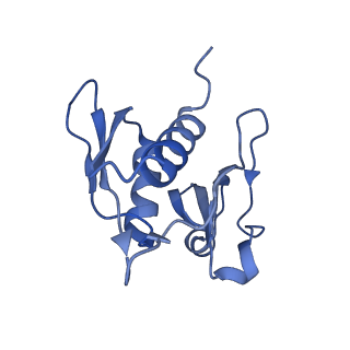 10908_6ysu_h_v1-1
Structure of the P+0 ArfB-ribosome complex in the post-hydrolysis state