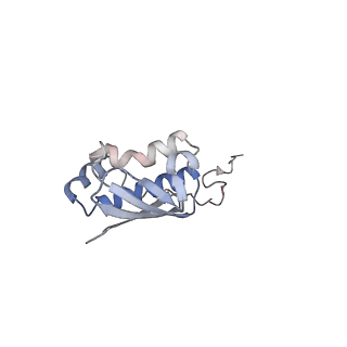 10908_6ysu_i_v1-1
Structure of the P+0 ArfB-ribosome complex in the post-hydrolysis state