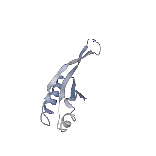 10908_6ysu_j_v1-1
Structure of the P+0 ArfB-ribosome complex in the post-hydrolysis state