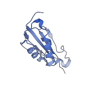 10908_6ysu_k_v1-1
Structure of the P+0 ArfB-ribosome complex in the post-hydrolysis state