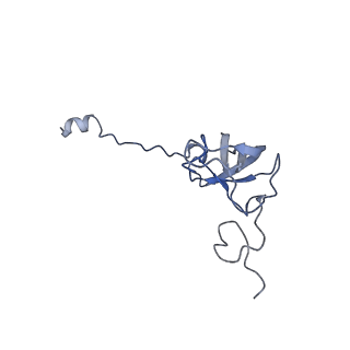 10908_6ysu_l_v1-1
Structure of the P+0 ArfB-ribosome complex in the post-hydrolysis state