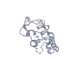 10908_6ysu_m_v1-1
Structure of the P+0 ArfB-ribosome complex in the post-hydrolysis state