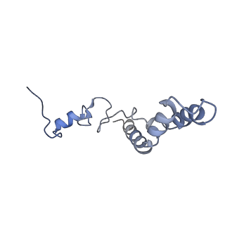10908_6ysu_n_v1-1
Structure of the P+0 ArfB-ribosome complex in the post-hydrolysis state