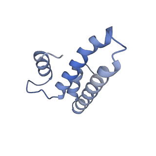 10908_6ysu_o_v1-1
Structure of the P+0 ArfB-ribosome complex in the post-hydrolysis state