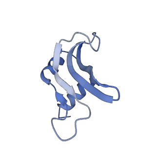 10908_6ysu_p_v1-1
Structure of the P+0 ArfB-ribosome complex in the post-hydrolysis state