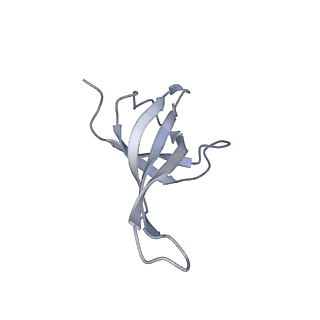 10908_6ysu_q_v1-1
Structure of the P+0 ArfB-ribosome complex in the post-hydrolysis state
