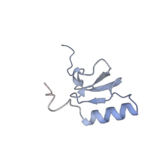 10908_6ysu_s_v1-1
Structure of the P+0 ArfB-ribosome complex in the post-hydrolysis state